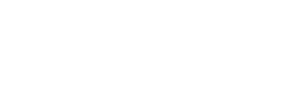 Stoneridge logo